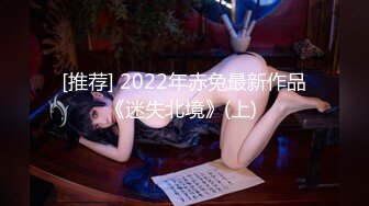 [推荐] 2022年赤兔最新作品《迷失北境》(上) 