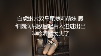 极品少妇与维修工的日常