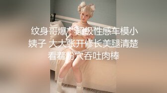  纹身哥爆艹超级性感车模小姨子 大大张开修长美腿清楚看着粉穴吞吐肉棒