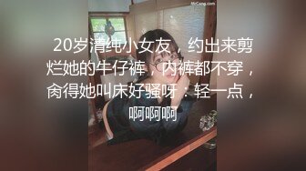 伺候结合处的绿奴狗.