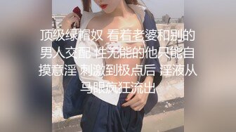 丝袜高跟美人妻被我狠狠操2