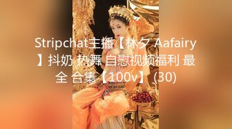 Stripchat主播【林夕 Aafairy】抖奶 热舞 自慰视频福利 最全 合集【100v】 (30)