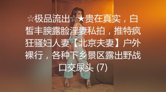 押尾猫2019性爱欲望系列-性感黑丝女仆厨房诱惑主人