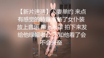 完美比例