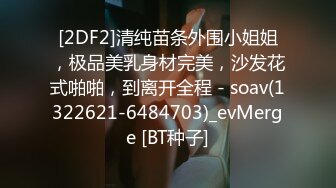 4/23最新 角色扮演下班后H属性魅惑本能无限放荡娱乐场VIP1196