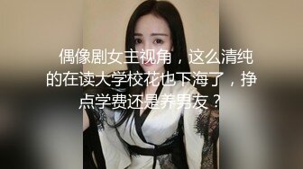 做夫妻情侣狗