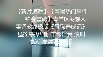 国产麻豆AV MKY MKYHC003 租房的淫乱事件簿 新人女优 檀雅