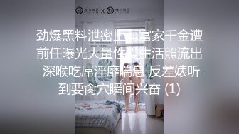 少妇的小穴1