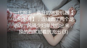 网调的骚货小母狗2