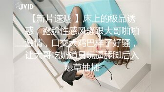 国产博主HongKongDoll（玩偶姐姐）onlyfans高清原档资源合集 (64)