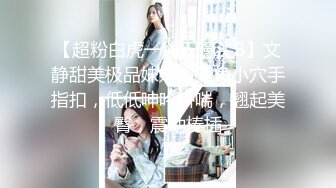 风吟鸟唱-豆豆和摄影师啪啪啪，尾巴play