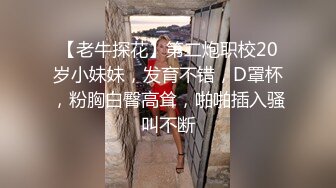 打桩机的POV视角