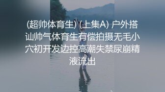 骚浪受受被双龙