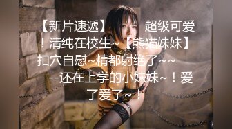 穿情趣的前女友2