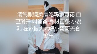 极品名媛外围女神『嫖妓达人』那些年出差操过的鸡穿衣是高不可攀的女神，脱衣是淫荡下贱母狗6 (2)