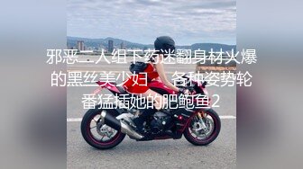 【AI换脸视频】郑家纯 鸡排妹赴日当风俗娘，花样服务爽翻男客户