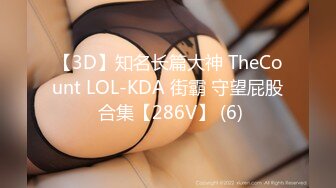 【3D】知名长篇大神 TheCount LOL-KDA 街霸 守望屁股 合集【286V】 (6)