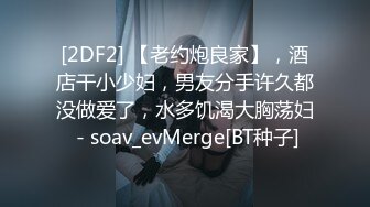 [2DF2] 【老约炮良家】，酒店干小少妇，男友分手许久都没做爱了，水多饥渴大胸荡妇 - soav_evMerge[BT种子]