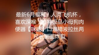 [2DF2] 性感女士官湾湾因为要去外岛两个月，临走前不忘跟士兵男来个激情实战[BT种子]