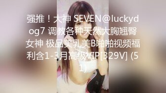 重口注意MyPrego孕妇系列2020年资源合集【71V】 (31)