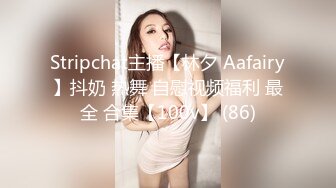 Stripchat主播【林夕 Aafairy】抖奶 热舞 自慰视频福利 最全 合集【100v】 (86)