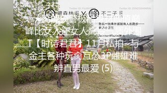 ☆★高能预警极品身材颜值巅峰比女人还女人高冷气质外围T【时诗君君】11月私拍~与金主各种玩肏互怂3P雌雄难辨直男最爱 (5)